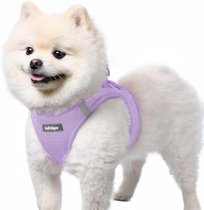 rabbitgoo Small Dog Harness, Step-in Soft Mesh Puppy Vest with Safety Buckle, Breathable Reflective Pet Harness for Small Sized Dogs, Light Purple S