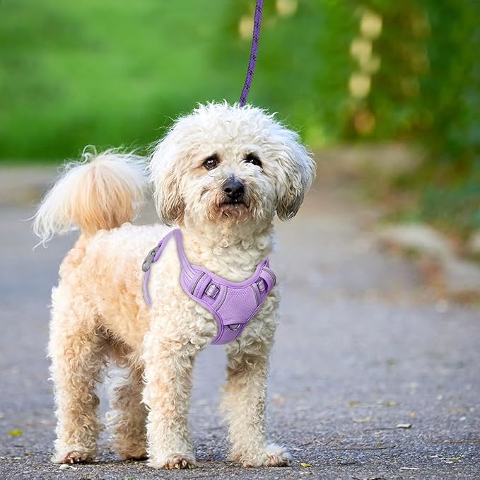 BARKBAY No Pull Dog Harness Large Reflective Dog Harness with Front Clip and Easy Control Handle for Walking Training Running with ID tag Pocket(Violet Purple,XS)