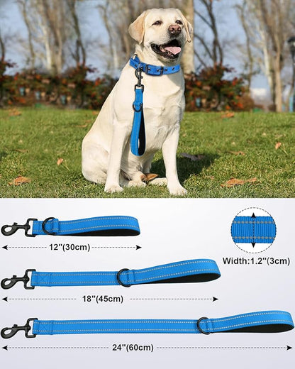 Joytale Strong Short Dog Leash 1FT, 1.2 Inch Wide, Heavy Duty, Padded Handle for Traffic Control, Reflective Leash for Medium and Large Dogs Walking Training, Aqua Blue