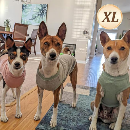 KYEESE 2Pack Waffle Dog Shirts for Small Dogs Stretchy T-Shirts Lightweight Tank Top Sleeveless Striped Vest Breathable Pet Outfit, X-Large, Pink+Striped