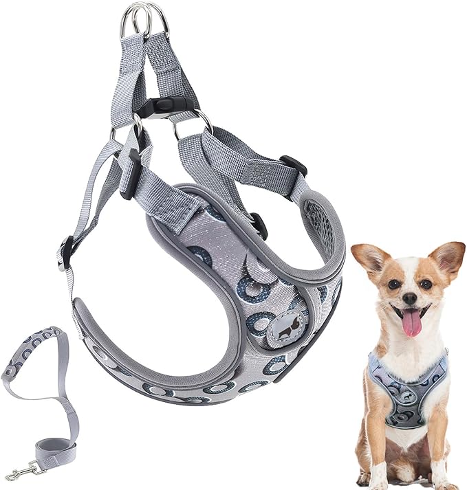 Dog Harness with Leash Set, Adjustable Step in Dog Harness with Breathable Padded Vest for Small Training (XS, Gray with Circle)