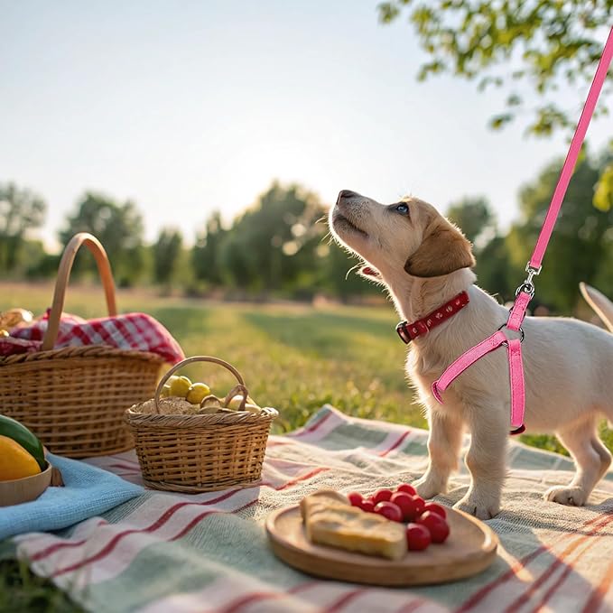 BINGPET Dog Harness Leash Set,Adjustable No Pull Step in Dog Harness,Stylish Denim Puppy Harness for Small and Medium Dogs Easy Walk Training Running(Pink,S)