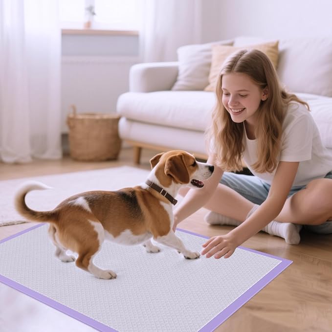 JollyMate 28"x34" Extra Large Dog Pee Pads 50 Counts, Leak-Proof Heavy Absorbent Pee Pads for Dogs, Quick Dry Disposable Puppy Pee Pads Slight Fresh Scented