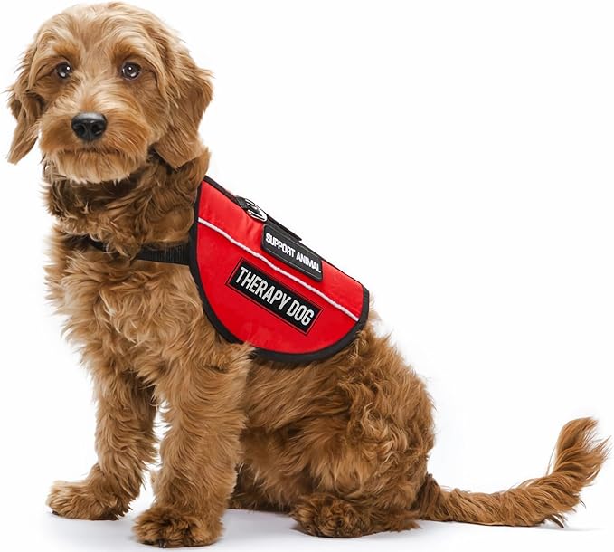 2 Pcs Reflective Therapy Dog Patch Set with Hook and Loop Fastener, Embroidered Border with Printed Letters Patch for Dog Vest Harness Collar (3.5 x 1.2 inches)