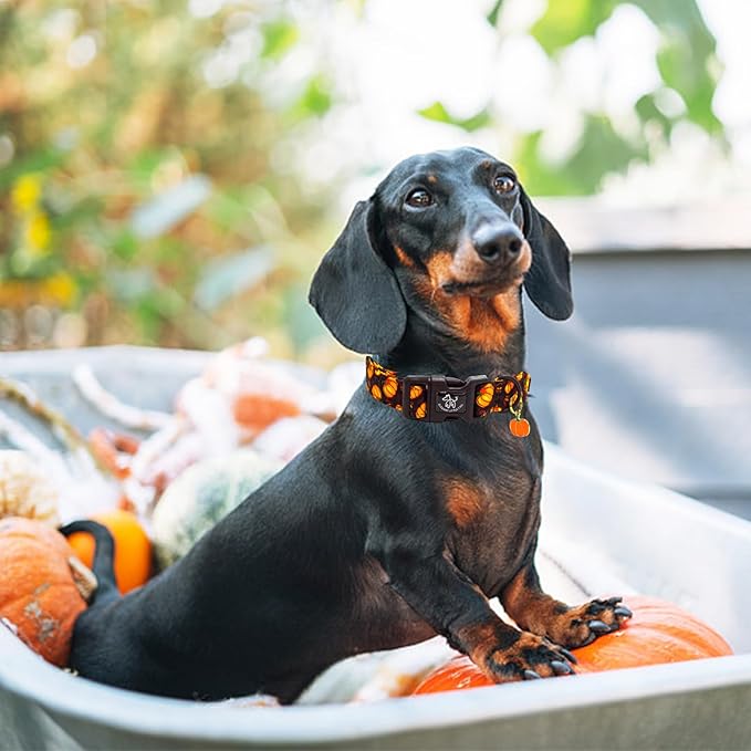 Elegant little tail Halloween Dog Collar, Pumpkin with Maple Leaf Print Fall Pet Collars Cotton Soft Sturdy Puppy Collars Holiday Female Adjustable Collar for Small Dogs