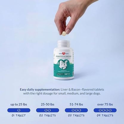Probiotics for Dogs - 120 Chewable Tablets - Diarrhea & Gas Support - with Honey Pumpkin and Prebiotics for Dog Allergies, Bad Breath & Constipation Support