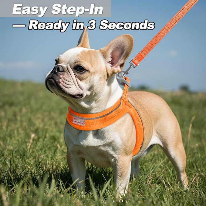 Dog Harness and Leash Set,Step in Small Sized Dog Harness,Soft Mesh,No-Chock,Reflective Adjustable,Secure with Hook & Loop Fastener,Puppy Vest for Small,Medium Dogs(Orange,M)