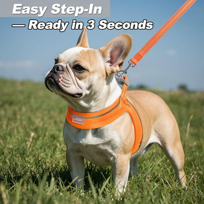Dog Harness and Leash Set,Step in Small Sized Dog Harness,Soft Mesh,No-Chock,Reflective Adjustable,Secure with Hook & Loop Fastener,Puppy Vest for Small,Medium Dogs(Orange,M)