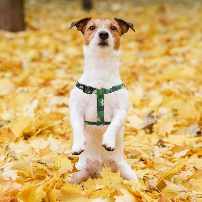 PUPTECK No Pull Dog Harness Soft Adjustable Basic Nylon Step in Puppy Vest Outdoor Walking with ID Tag, Camouflage, M