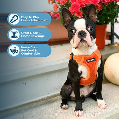 Best Pet Supplies Voyager Adjustable Step-in Flex Breathable Mesh Dog Harness for Small Medium Large Dogs (Orange), XL