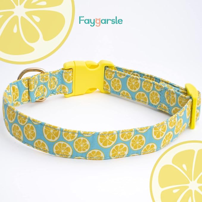 Faygarsle Cute Dog Collar for Girls Boy Dogs Soft Fancy Pet Collar with Lemon Design Ideal Yellow Green Summer Dog Collar for Small Medium Large Dogs S