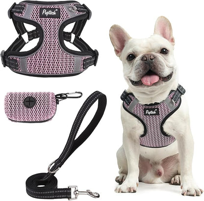 PUPTECK Dog Harness and Leash Set Medium Sized, Step in No Pull Adjustable Puppy Cat Harness Reflective Pet Vest