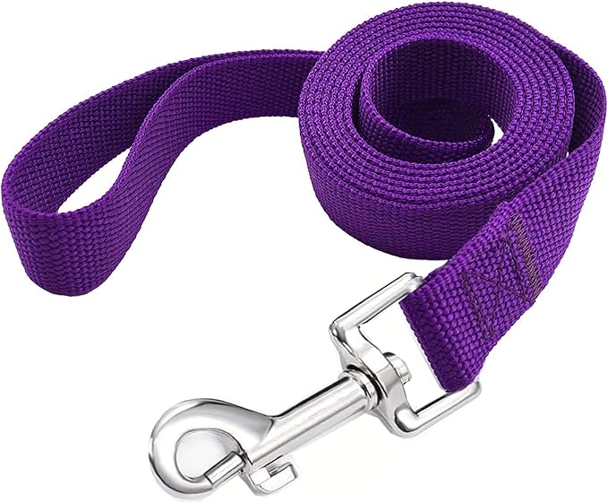 TAIAN 4FT/5FT/6FT Strong Dog Leash, Nylon Dog Leashes for Small Medium Large Dogs (Purple, 1 in x 10 ft)