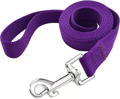TAIAN 4FT/5FT/6FT Strong Dog Leash, Nylon Dog Leashes for Small Medium Large Dogs (Purple, 1 in x 10 ft)