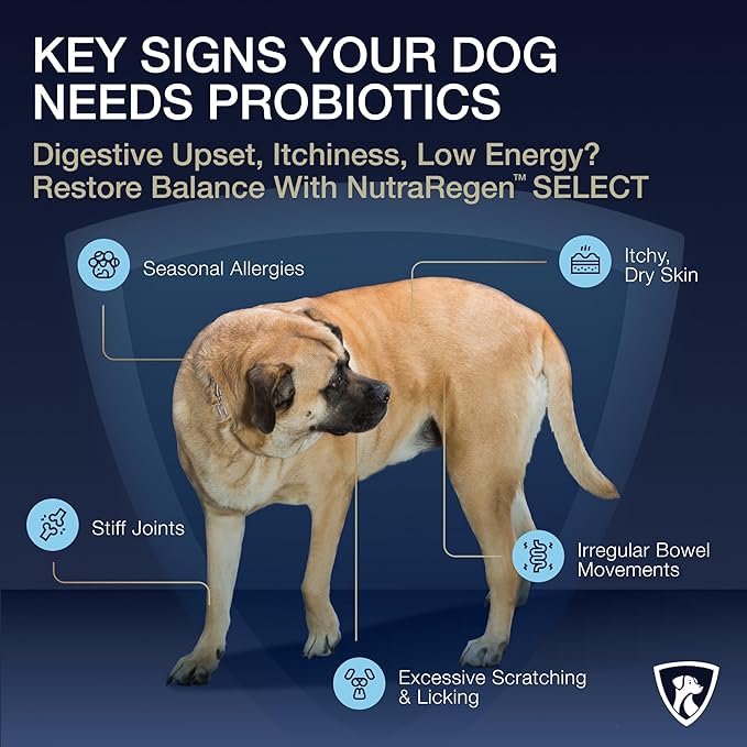 Select Digestive Senior Dog Probiotic Powder 30 Scoops | Beef Flavored Dog Probiotics for Digestive Health, Supports Gut Health, Scratching, Itchy & Dry Skin, Allergies 2.1 Oz | 7 Bn CFU
