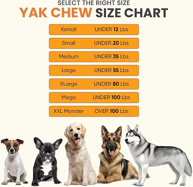 The safest All-Natural Cheese Chews - XLarge (Pack of 3) - NO Chunks, NO preservatives, NO Bad Smell, Great Teeth Cleaner, Super Long-Lasting