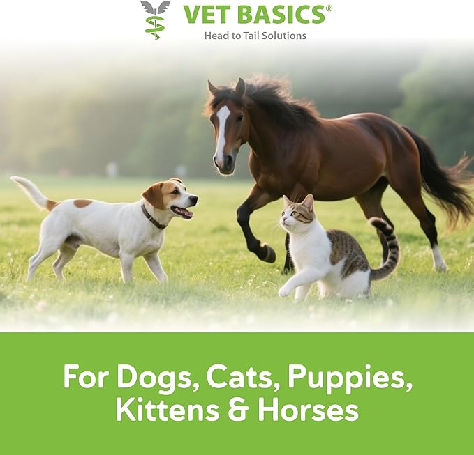 Vet Basics Lime Sulfur Dip – Skin Itch Relief Concentrated Antimicrobial & Antiparasitic Solution for Dogs, Cats, Puppies, Kittens & Horses, Helps Manage Ringworm, Mange, Skin Irritation, 1 Gallon