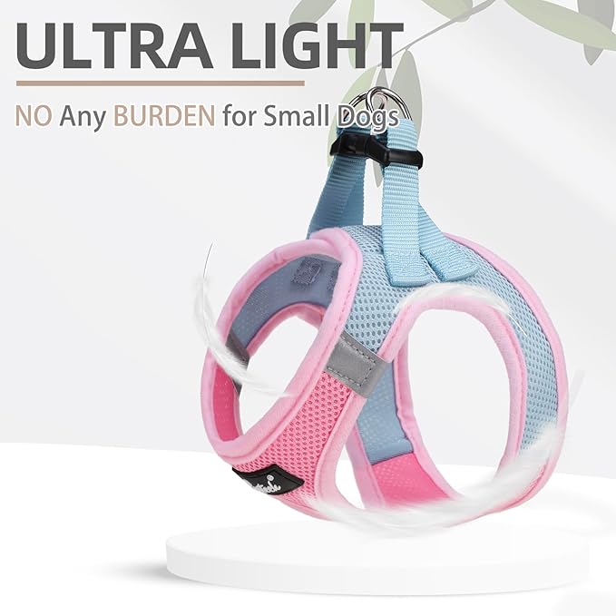 PUPTECK Dog Harness and Leash Set for Small Medium Dogs No Pull Step-in Soft Mesh Puppy Cat Vest Harnesses Reflective at Night, Pink & Blue, M