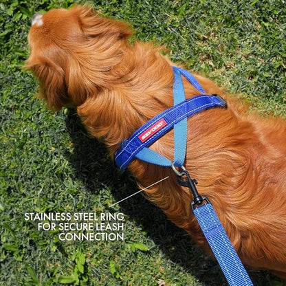 EzyDog Quick Fit Dog Harness – No Pull Harness for Training, Everyday Walking, and Easy Control - Adjustable Fit, Reflective, and Padded (Large, Green Camo)
