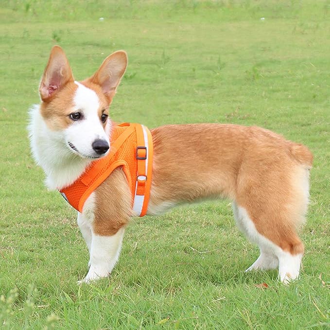FEimaX Dog Harness and Leash Set for Walking, Soft Mesh Adjustable Easy Control Lightweight Cat Vest Harnesses with Reflective Strips, Escape Proof Small Dogs Cats Vests (Orange, X-Large)