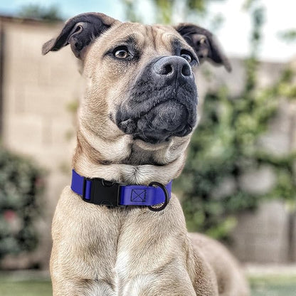 Dogline Biothane Waterproof Dog Collar with Quick Release Buckle Strong Coated Nylon Webbing with Odor- Proof for Easy Care Easy to Clean Fits Small Medium Large Dogs, Royal Blue 5/8" W 9-14" L