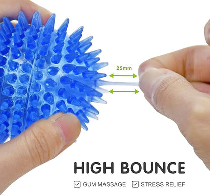 SHARLOVY Squeaky Balls for Pet Small Puppy, 6 Pack TPR Fetch Spike Balls for Dogs, Rubber 6 Pack Bright Colors Chew Teething Dog Toys, for Clean Teeth and Training, for Puppy Chew and Teething