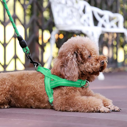 Plutus Pet No Pull Dog Harness with Breathable Mesh Padded, Adjustable Reflective Escape Proof Dog Harness, Quick Fit Dog Vest Harness for Small Medium Large Dogs(XS, Green)