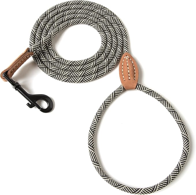 Mile High Life Small Dog Leash, Thin Rope Leash with Genuine Leather Connection and Heavy Duty Metal Clasp, Great for Small Medium Dogs(White,48 Inch-1/3)
