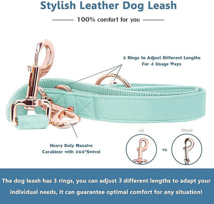 Soft Leather Dog Collar and Leash (6.6') Set - Stylish Rose Gold Heavy Duty Metal Buckle, 4 Adjustable Lengths Leash for Small Medium Large Dogs - Comfortable & Easy to Clean Mint Green L(15.4"-24.8")