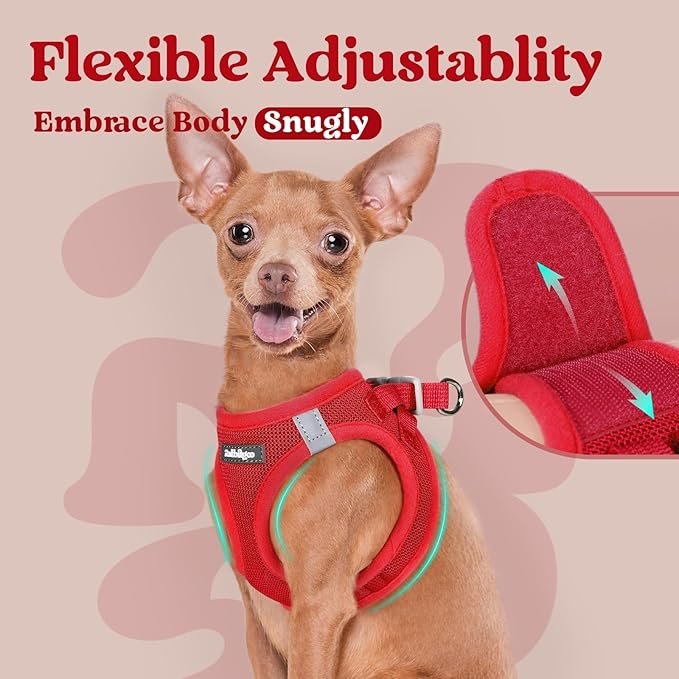 rabbitgoo Small Dog Harness, Step-in Soft Mesh Puppy Vest with Safety Buckle, Breathable Reflective Pet Harness for Small Sized Dogs, Red M