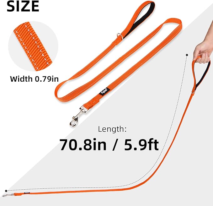 PUPTECK Reflective Dog Leash with Comfortable Padded Handle Durable Nylon Dog Lead for Small Medium and Large Dogs Cats Walking Running Training Outside, Orange