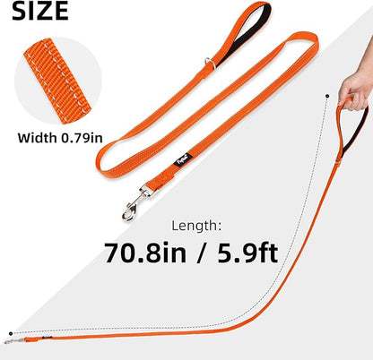 PUPTECK Reflective Dog Leash with Comfortable Padded Handle Durable Nylon Dog Lead for Small Medium and Large Dogs Cats Walking Running Training Outside, Orange