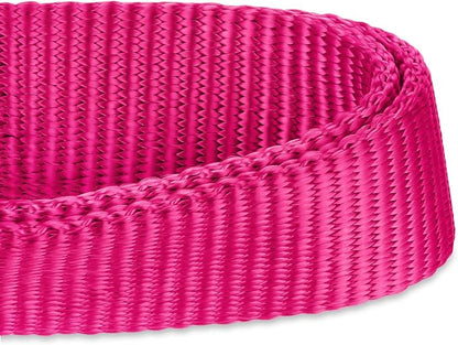 Hyhug Small Dog Collar Quick-Release| Heavy-Duty Nylon Puppy Collar, Adjustable & Durable Pet Supplies for Boy & Girl Dogs (Small, Rose Red)