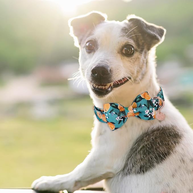Dog Collar with Bow Tie, Durable Comfortable Cotton Dog Bowtie Collar with Metal Buckle for Medium Dog Girl Boy, Summer Cute Dog Collar, M