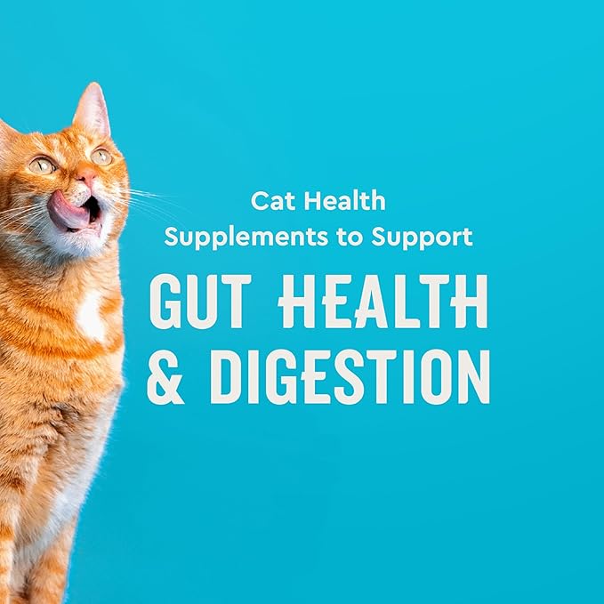 VetIQ Cat Probiotics Supplement – Probiotic, Prebiotic & Postbiotic for Cats, Digestive & Gut Health Support, Constipation & Diarrhea Relief, Chicken Flavored, 3.7 oz