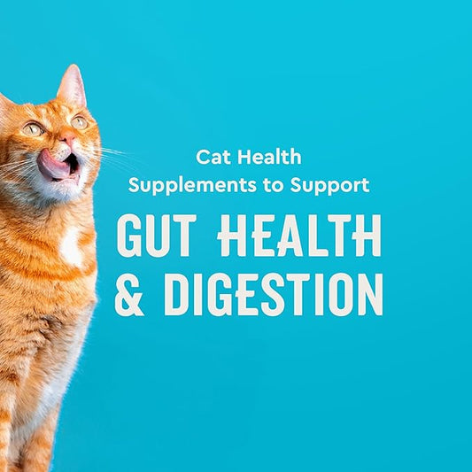 VetIQ Cat Probiotics Supplement – Probiotic, Prebiotic & Postbiotic for Cats, Digestive & Gut Health Support, Constipation & Diarrhea Relief, Chicken Flavored, 3.7 oz