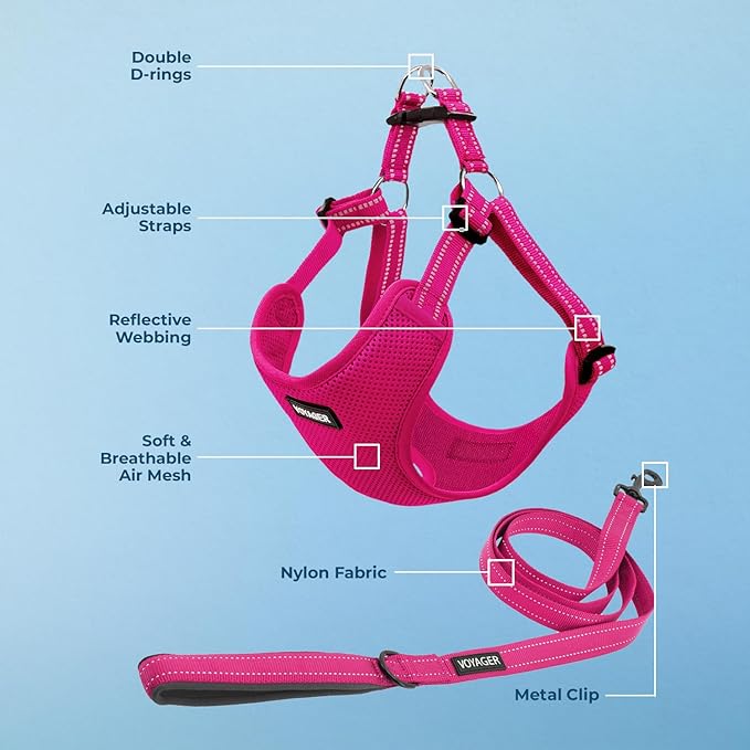 Best Pet Supplies Voyager Adjustable Step-in Flex Breathable Mesh Dog Harness for Small Medium Large Dogs Leash Set (Fuchsia), L
