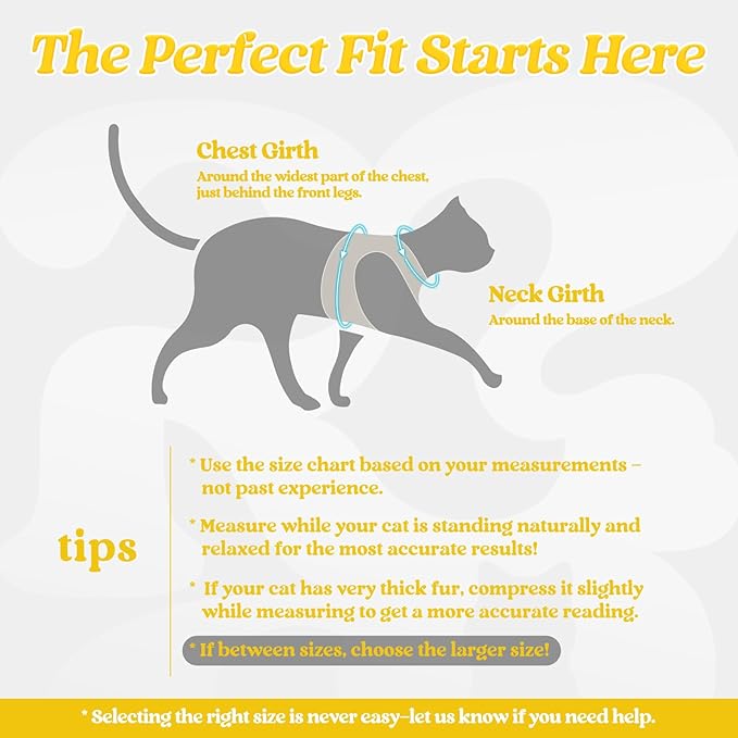rabbitgoo Cat Harness and Leash Set for Walking Escape Proof, Adjustable Soft Kittens Vest with Reflective Strip for Cats, Comfortable Outdoor Vest, Bright Yellow, M