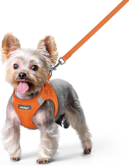 rabbitgoo Dog Harness Small Sized and Leash Set, Step in Soft Light Puppy Vest, Breathable Mesh Pet Harness, Reflective for Safe Easy Walking, Orange XS