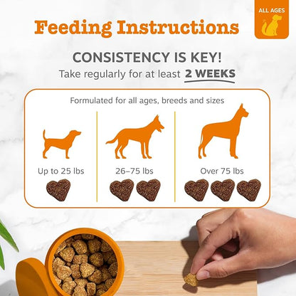 Zesty Paws Dog Allergy Relief Chews, Dog Probiotics for Itchy Skin and Ears, Lamb, 250ct