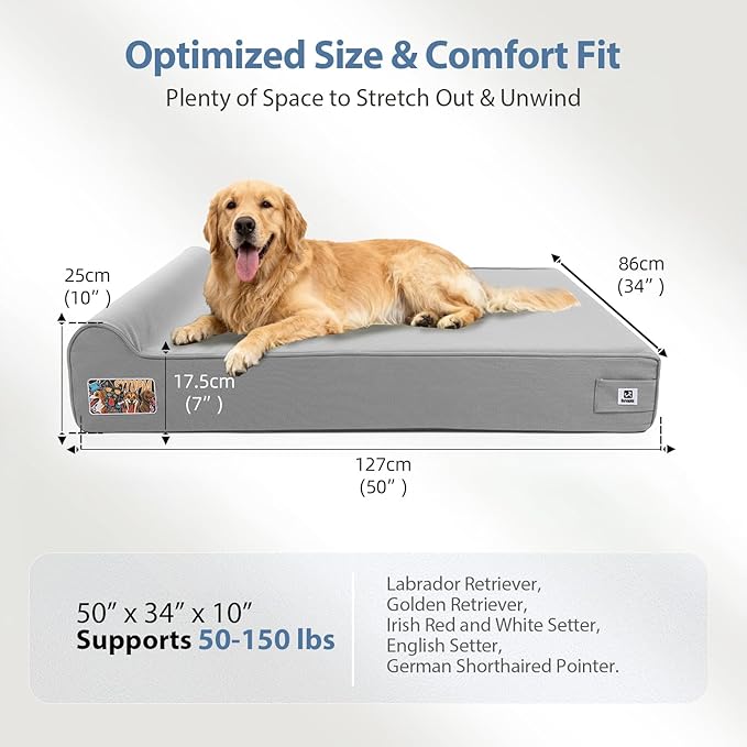 Sytopia XXL 50" Orthopedic Dog Bed – Outdoor Canvas 7" Thick Memory Foam Mattress with Pillow, Light Grey, Removable Washable Waterproof – Ultimate Comfort for Extra Large Breed Dogs Over 100 Pounds