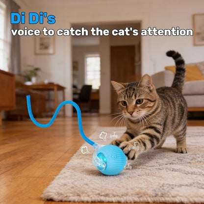 JINDILONG Cat Toy, Electric Interactive Toys for Indoor Cats, Blue