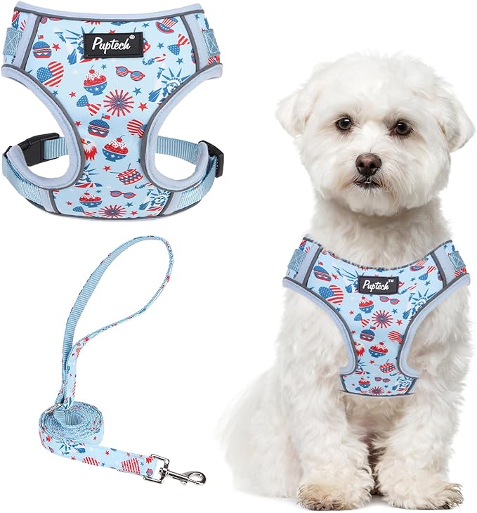 PUPTECK Small Dog Harness and Leash Set, No Pull Adjustable Puppy Cat Harness, Reflective Soft Mesh Pet Vest Small Sized, American Style, M