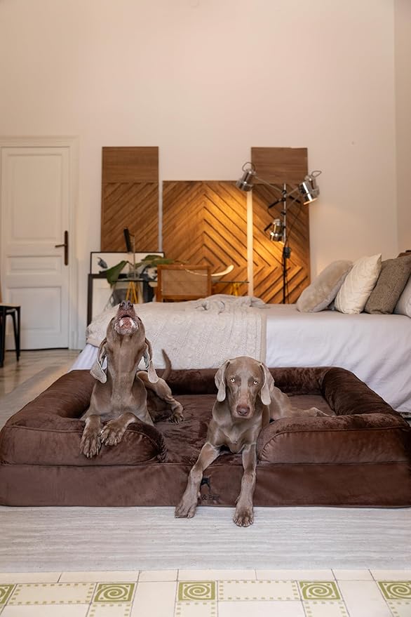 NOAH & PAW Giant Dog Bed XXL, 55x45x11 Inch, Orthopedic Dog Beds, Eggshell Memory Foam Infused with Cooling Gel, Inner Cover, Waterproof, Machine Washable (Velvet Sofa Collection)