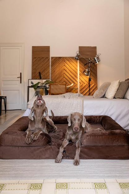 NOAH & PAW Giant Dog Bed XXL, 55x45x11 Inch, Orthopedic Dog Beds, Eggshell Memory Foam Infused with Cooling Gel, Inner Cover, Waterproof, Machine Washable (Velvet Sofa Collection)