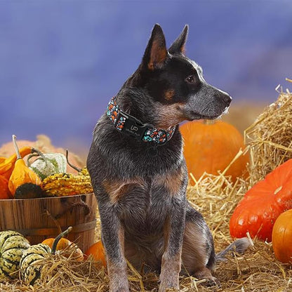 Halloween Dog Collar, UP URARA PUP Cotton Skull Ghost Dog Collar for Dog, Fall Pet Collar with Halloween Elements Pattern, Adjustable Puppy Collar,M,Neck 13.5-22in