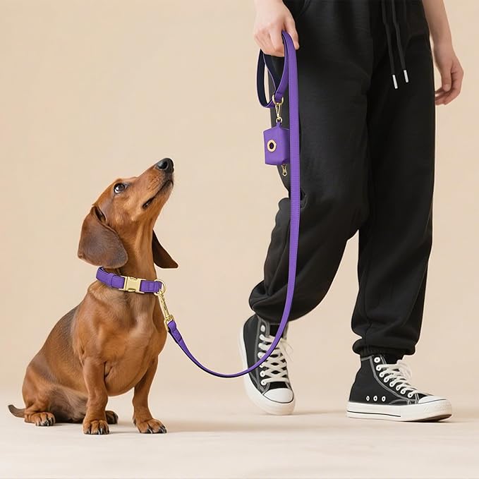 Didog 5FT Colorful Nylon Dog Leash with Soft Full-Length Padding, Lightweight and Durable Pet Leash for Medium and Large Dogs, Purple, M