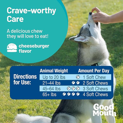 Pet HealthWorks Good Mouth Dental Chews for Dogs – Controls Plaque & Tartar, Promotes Fresh Breath, Supports Gum & Oral Health – Clinically Studied, Cheeseburger Flavor, No Mess, 60 Soft Chews