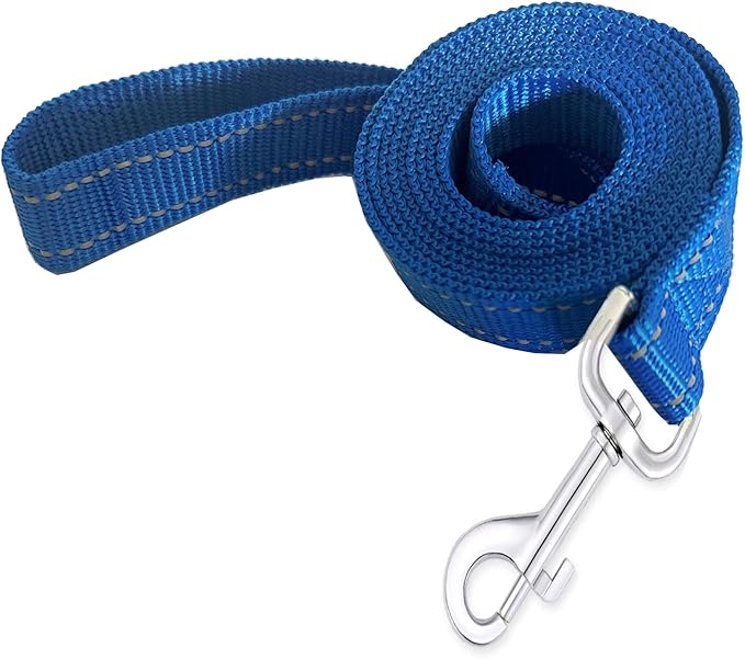 Reflective Dog Leash 4Ft /5 Foot /6 Feet Long, 1 Inch Wide, for Small and Medium Dogs