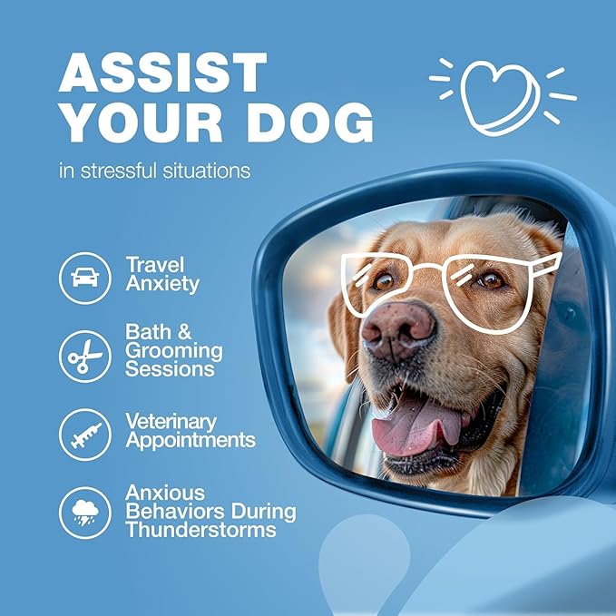 Soft Calming Chews for Dogs - Calming Chews for Dogs with Valerian Root, Melatonin, Vitamin B Complex & Chamomile Extract - Canine Treats for Fireworks, Grooming, Vet Visits, Thunderstorms